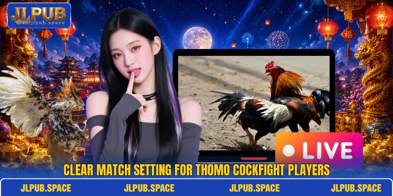 Clear match setting for Thomo Cockfight players